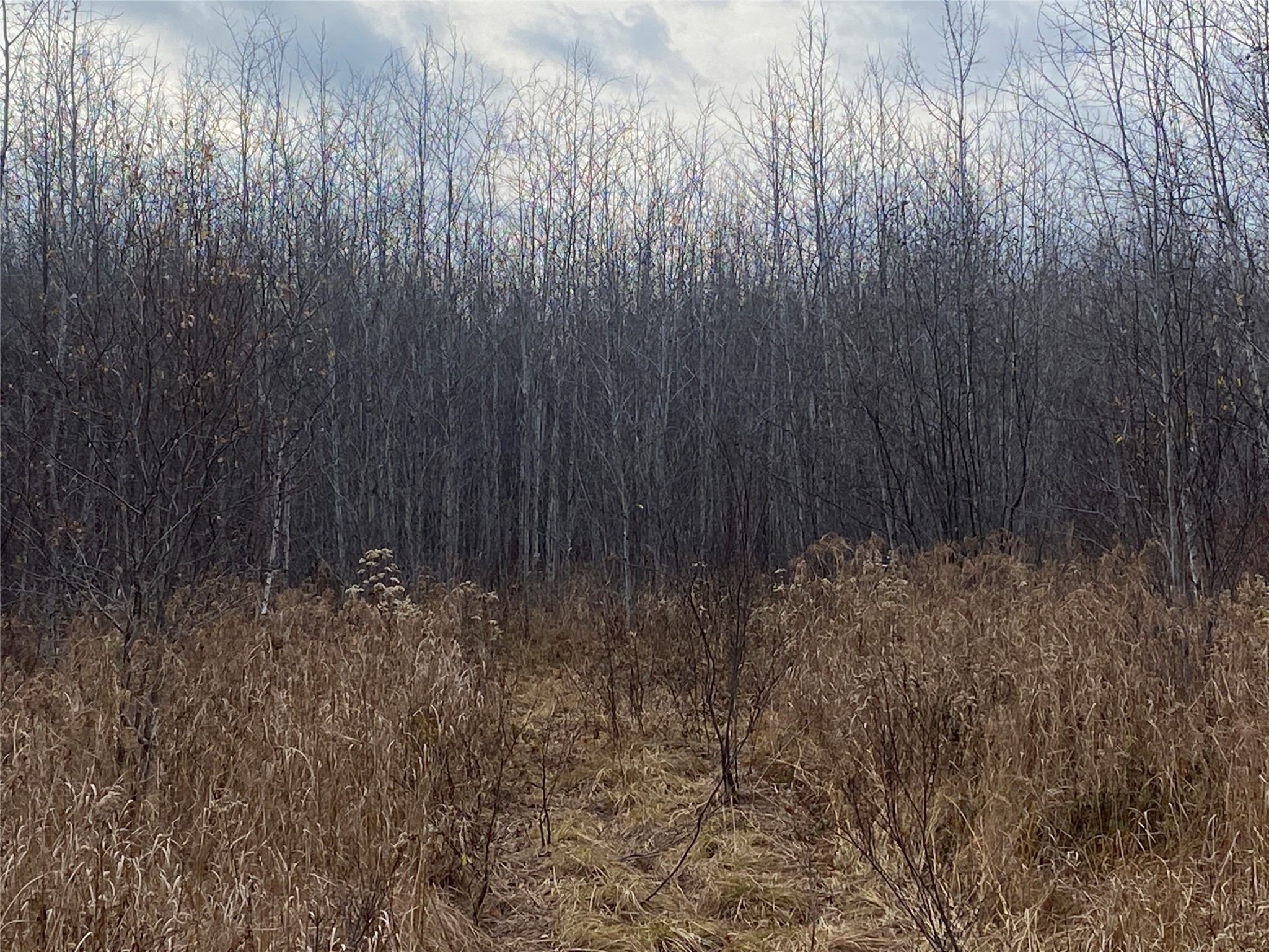 Near Timber Road Catawba, WI 54515 - Photo 7 of 7