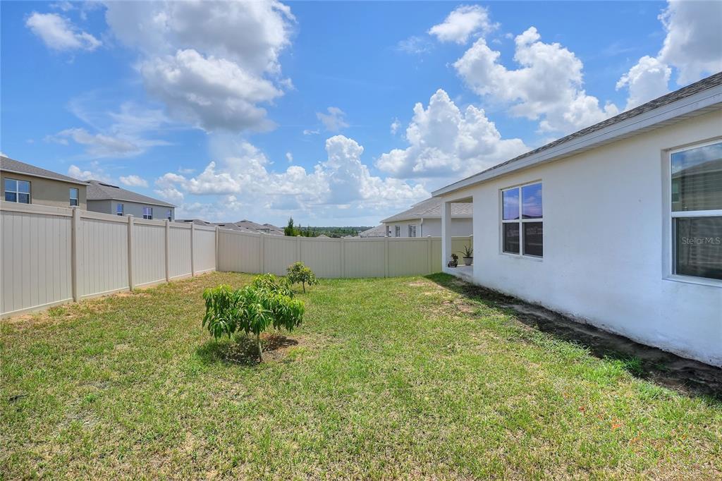 1623 Aspen Avenue Davenport, FL 33837 - Photo 33 of 43 a backyard of a house with lots of green space