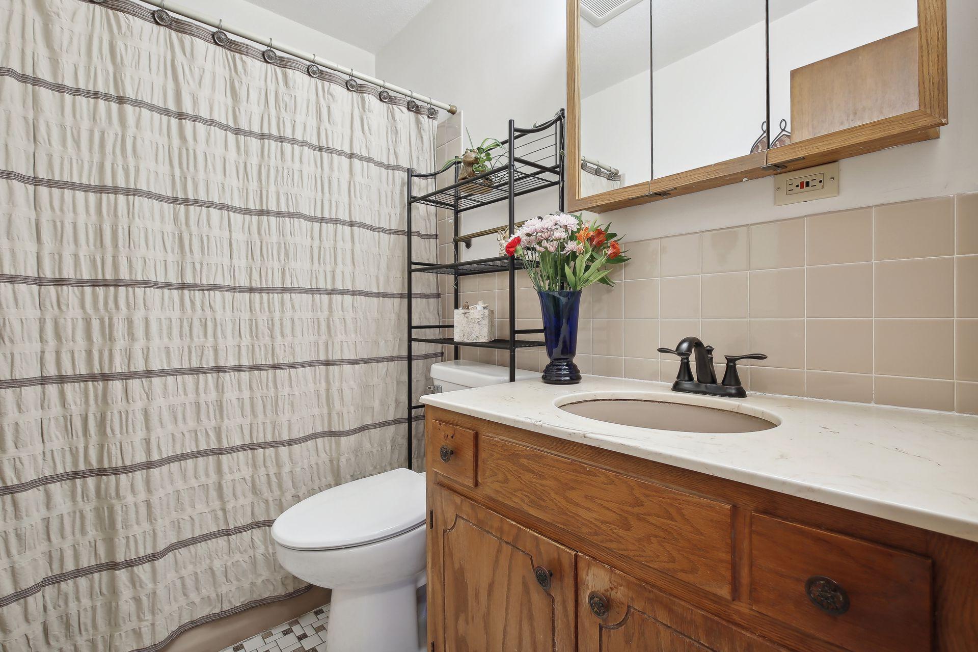 441 Ruth Street North St. Paul, MN 55119 - Photo 48 of 60 Gallery Image 48