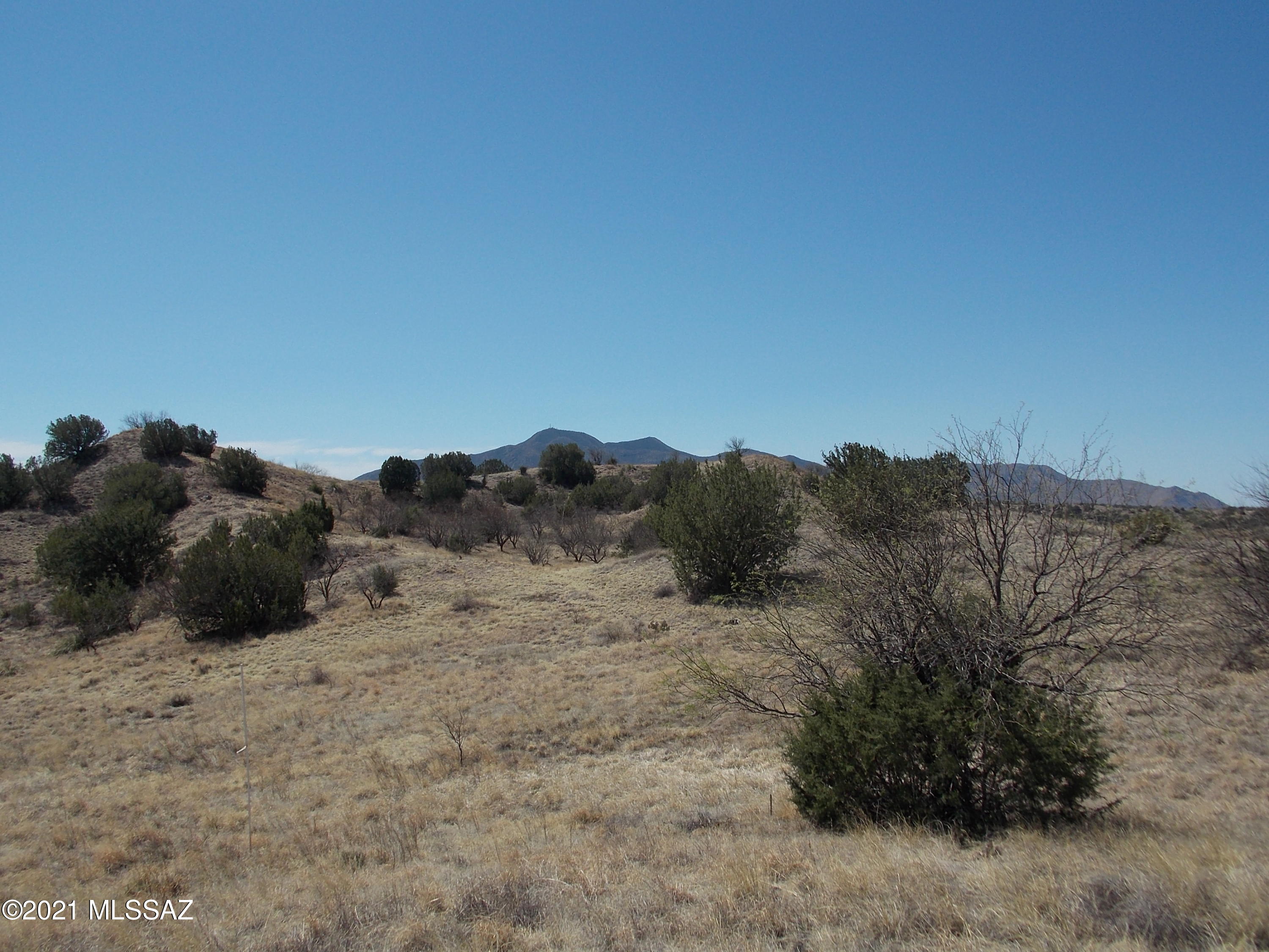 154 Tanglehead, Unit 44 Patagonia, AZ 85624 - Photo 15 of 15