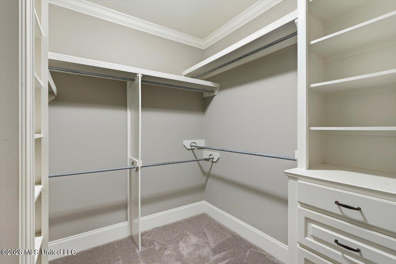 222 Legacy Drive Brandon, MS 39042 - Photo 25 of 48 Primary Walk In Closet
