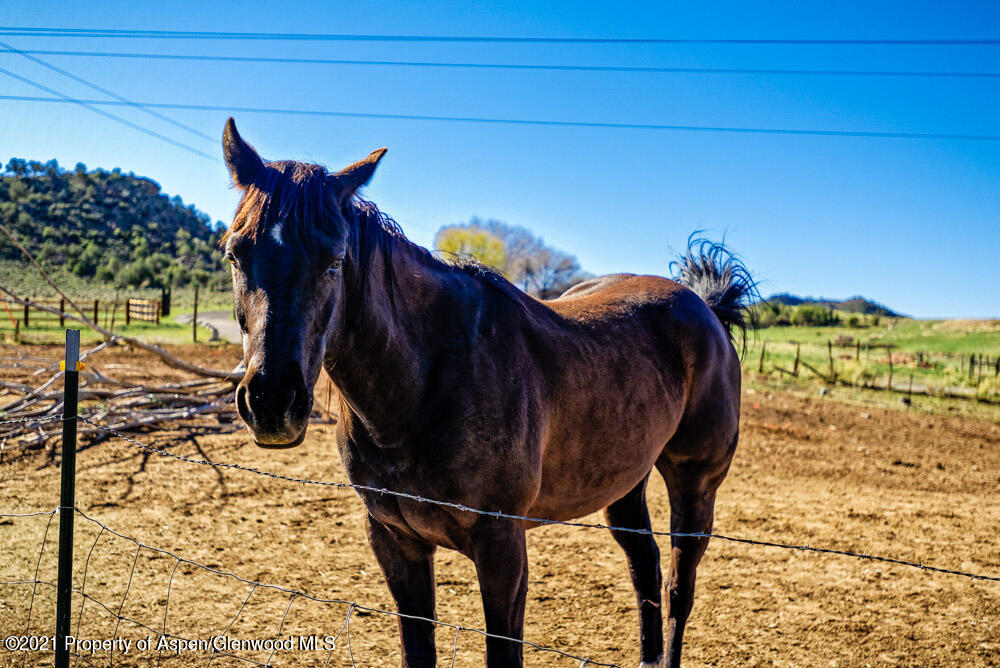 5821 County Road 331 Silt, CO 81652 - Photo 6 of 26 a view of entryway