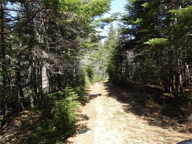 Lot 98-7 Eastern Head Road Lubec, ME 04652 - Photo 5 of 11 shorelot3