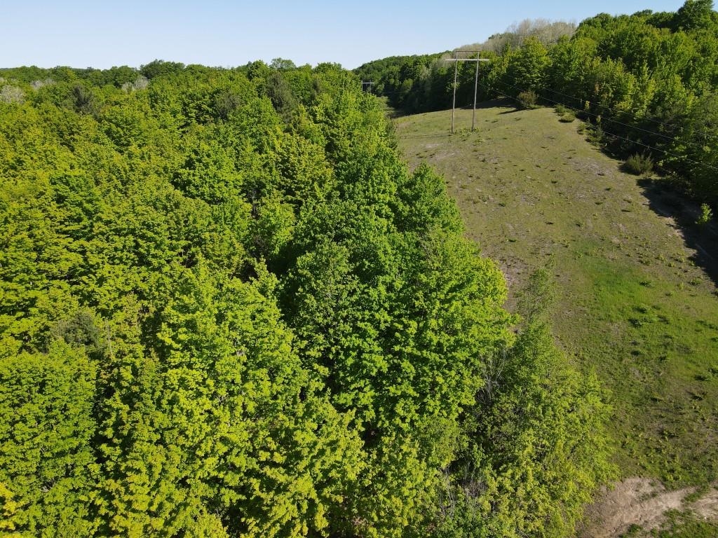 Tbd Pesek Road East Jordan, MI 49727 - Photo 11 of 28