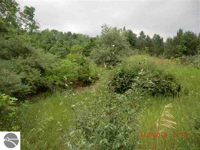 4068 Raymond Road Frankfort, MI 49635 - Photo 32 of 40