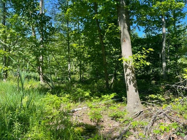 On Shawano Line Road Gillett, WI 54124 - Photo 1 of 10 Gallery Image 1