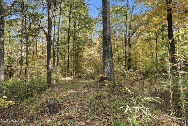 $274,900 | 3746 Morrison Road, Utica, MS 39175