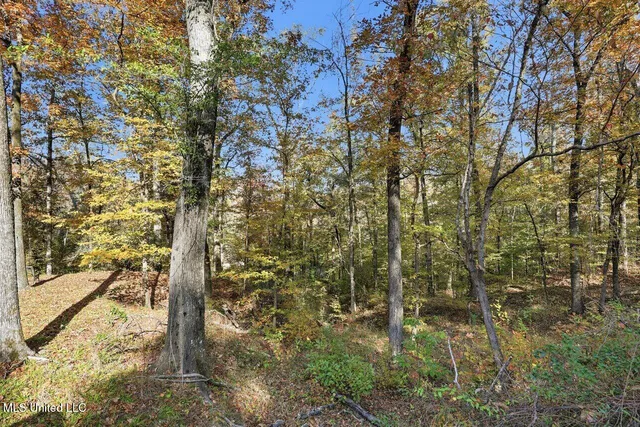 $274,900 | 3746 Morrison Road, Utica, MS 39175