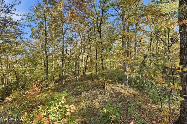 $274,900 | 3746 Morrison Road, Utica, MS 39175