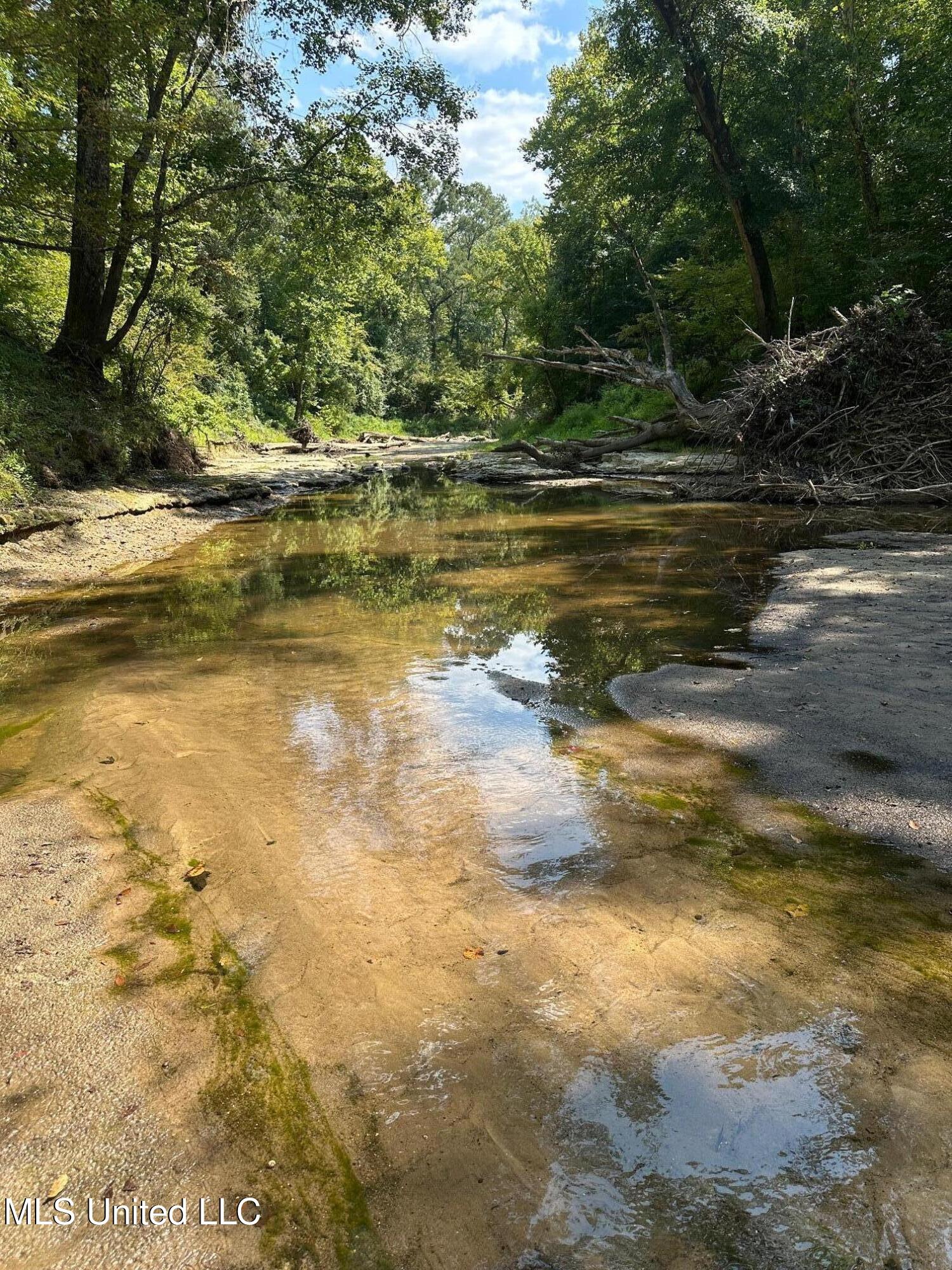 3746 Morrison Road Utica, MS 39175 - Photo 46 of 51 IMG_2348