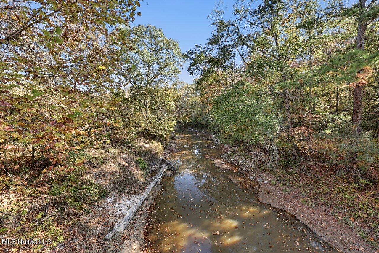 3746 Morrison Road Utica, MS 39175 - Photo 48 of 51 3746 Morrison Rd Home Tours MS 6