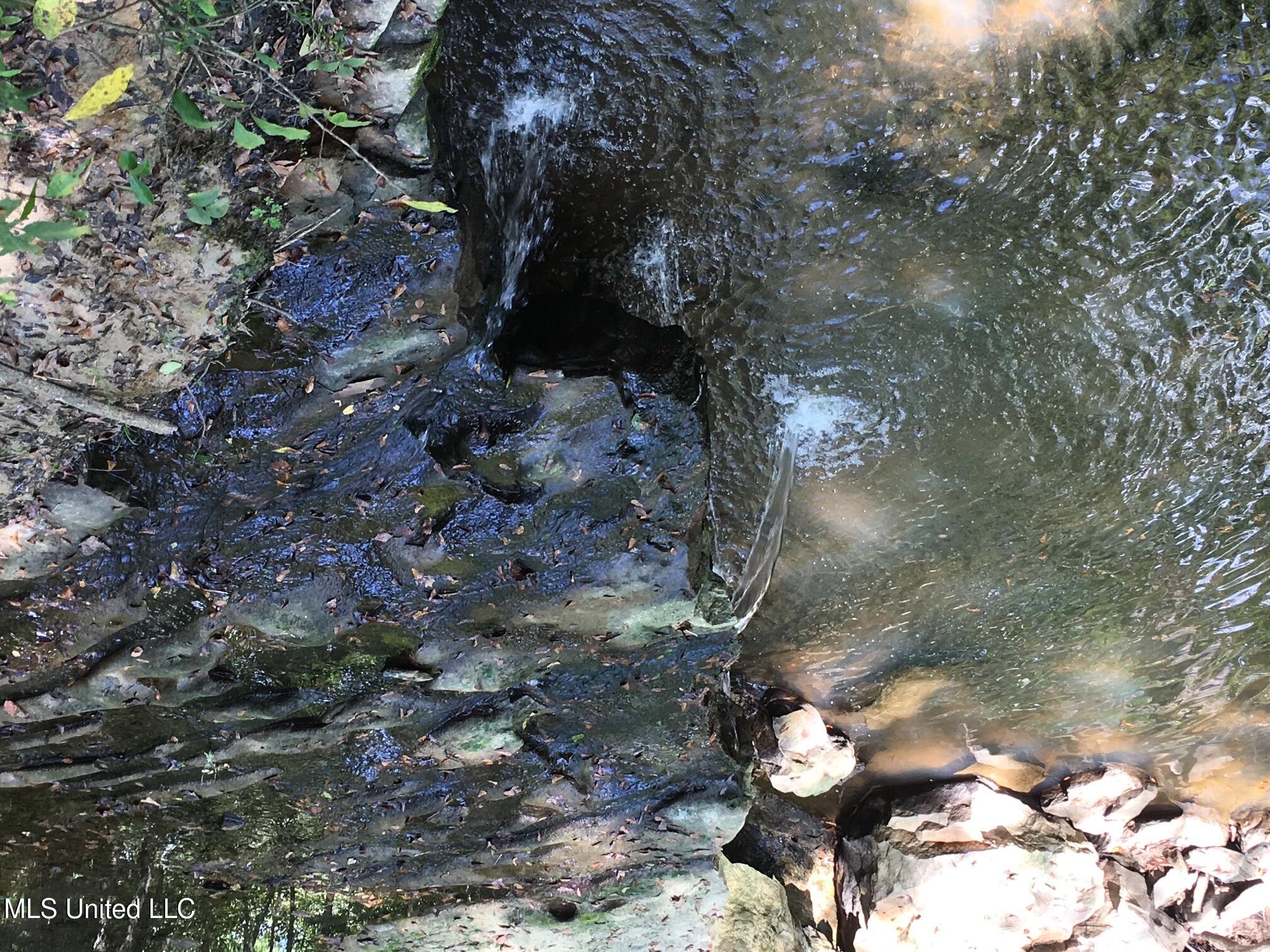 3746 Morrison Road Utica, MS 39175 - Photo 50 of 51 A34276AD-F436-4747-9B5E-DAF668110DCA