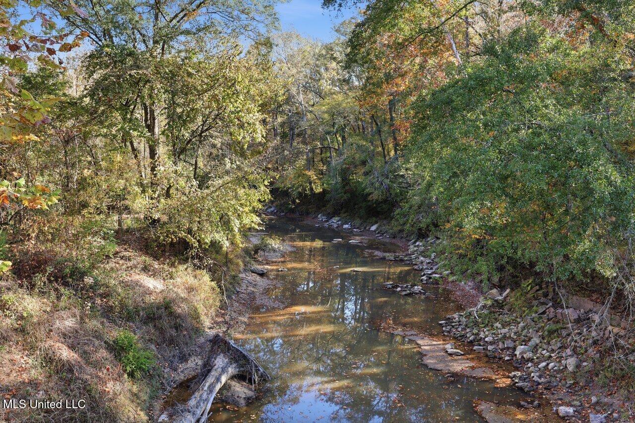 3746 Morrison Road Utica, MS 39175 - Photo 6 of 51 3746 Morrison Rd Home Tours MS 7
