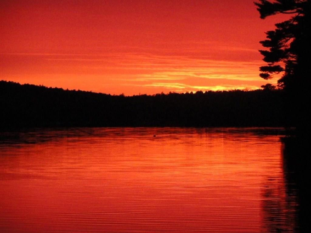572 Sys Road Lakeville, ME 04487 - Photo 35 of 35 The end to a tranquil day on...