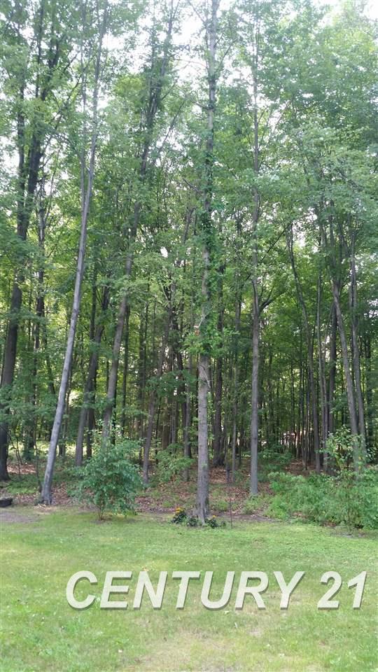 4700 South Graham Road St. Charles, MI 48655 - Photo 18 of 20