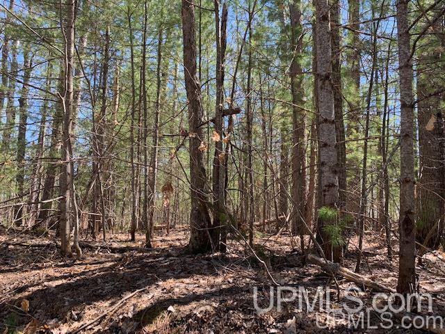 Lot 5 West Lost Lake Road Wetmore, MI 49862 - Photo 12 of 12