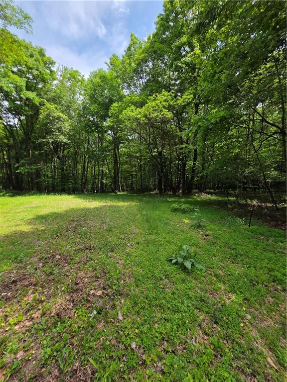 0 Silvis Road Homer City, PA 15748 - Photo 13 of 13