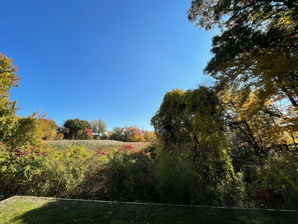19 3rd Road Woburn, MA 01801 - Photo 40 of 41 a view of lake with green space