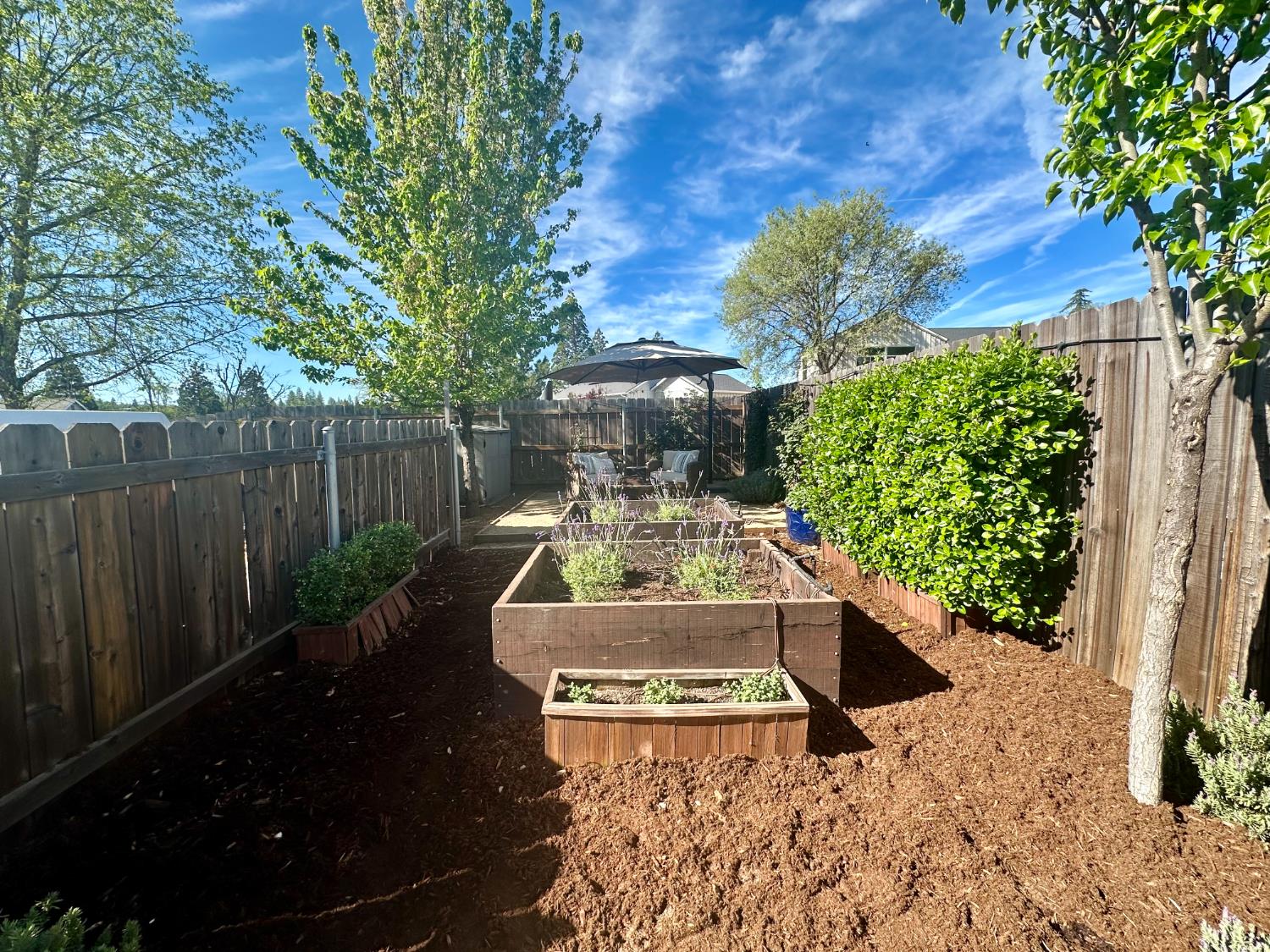 105 Field Stone Drive Murphys, CA 95247 - Photo 59 of 82