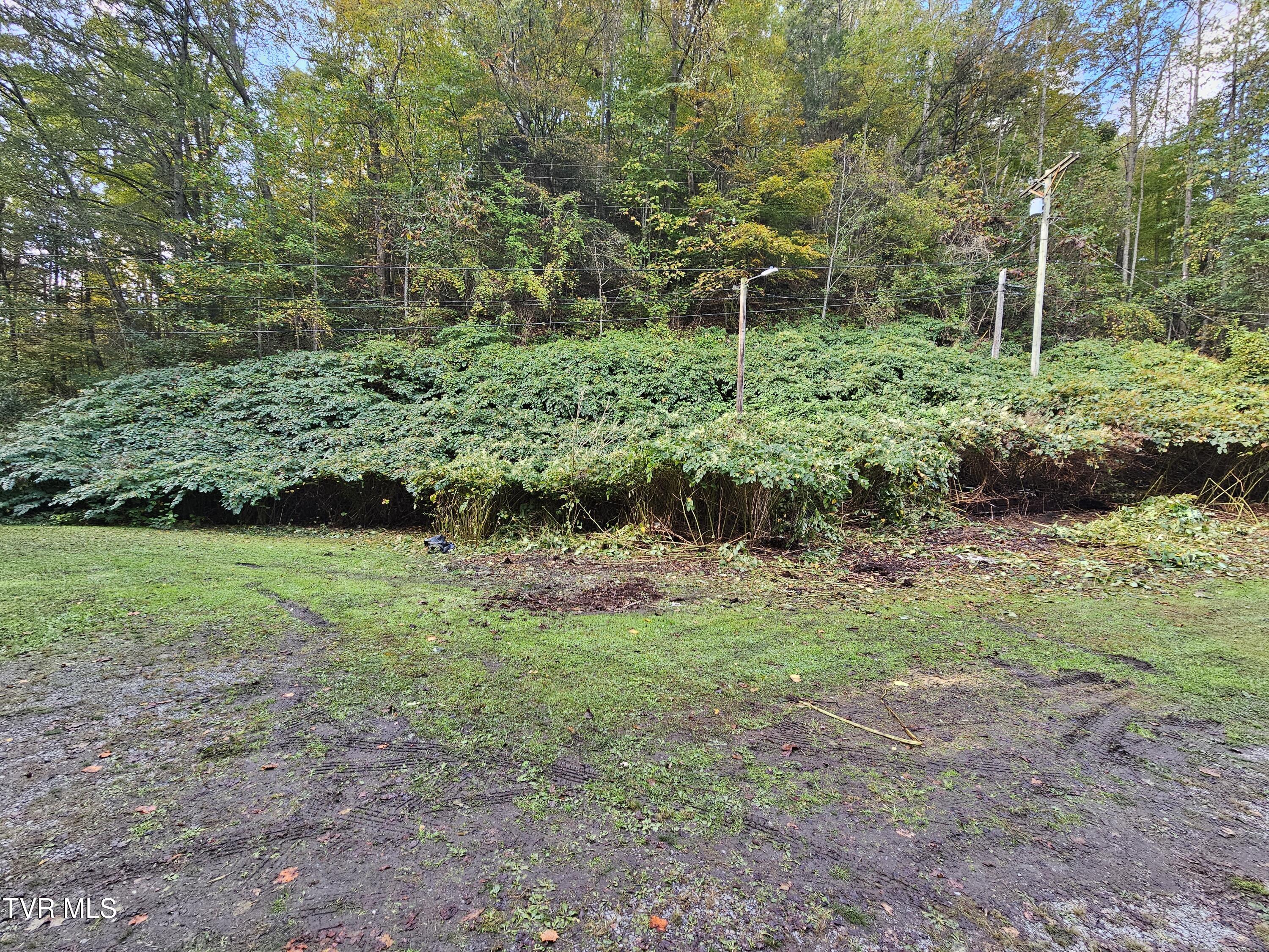 3613 Honey Branch Road St. Paul, VA 24283 - Photo 20 of 20 20251003_095600