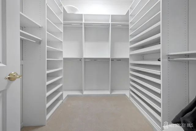 a view of an empty walk in closet