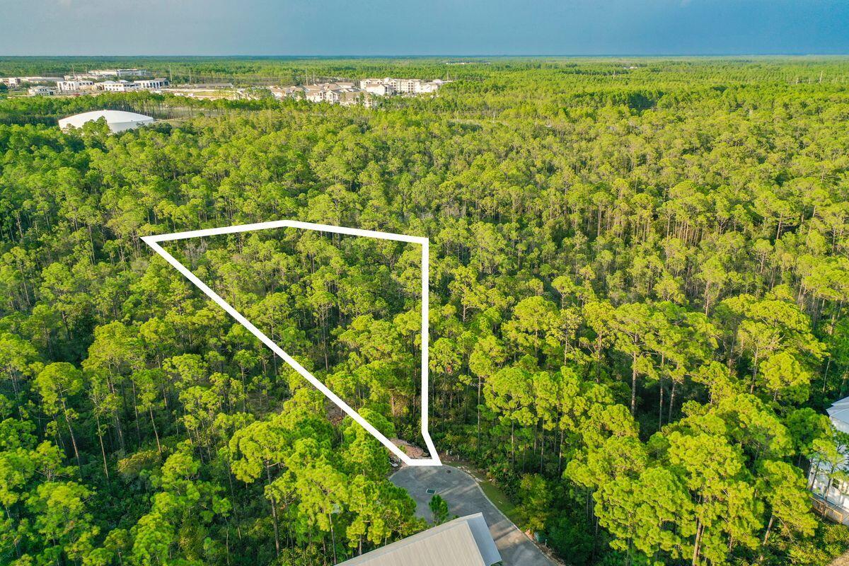Lot 46 Sweet Gum Loop Inlet Beach Inlet Beach, FL 32461 - Photo 1 of 21 a backyard of a house with lots of green space and a lake view