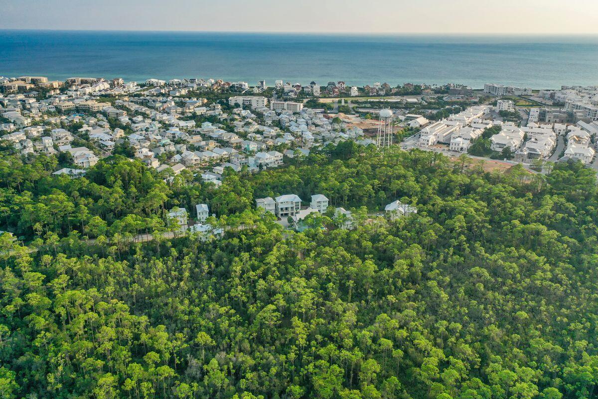 Lot 46 Sweet Gum Loop Inlet Beach Inlet Beach, FL 32461 - Photo 11 of 21 an aerial view of multiple house with beach