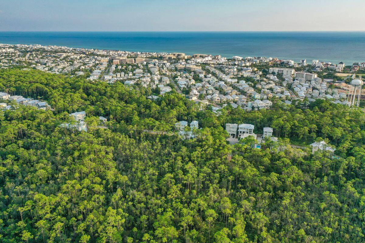 Lot 46 Sweet Gum Loop Inlet Beach Inlet Beach, FL 32461 - Photo 12 of 21 a view of a city