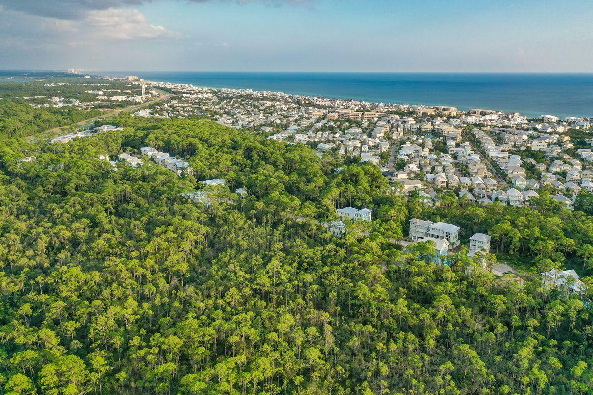 Lot 46 Sweet Gum Loop Inlet Beach Inlet Beach, FL 32461 - Photo 13 of 21 a view of a green field