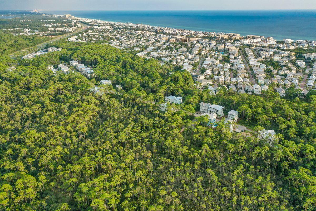 Lot 46 Sweet Gum Loop Inlet Beach Inlet Beach, FL 32461 - Photo 14 of 21 a view of a city