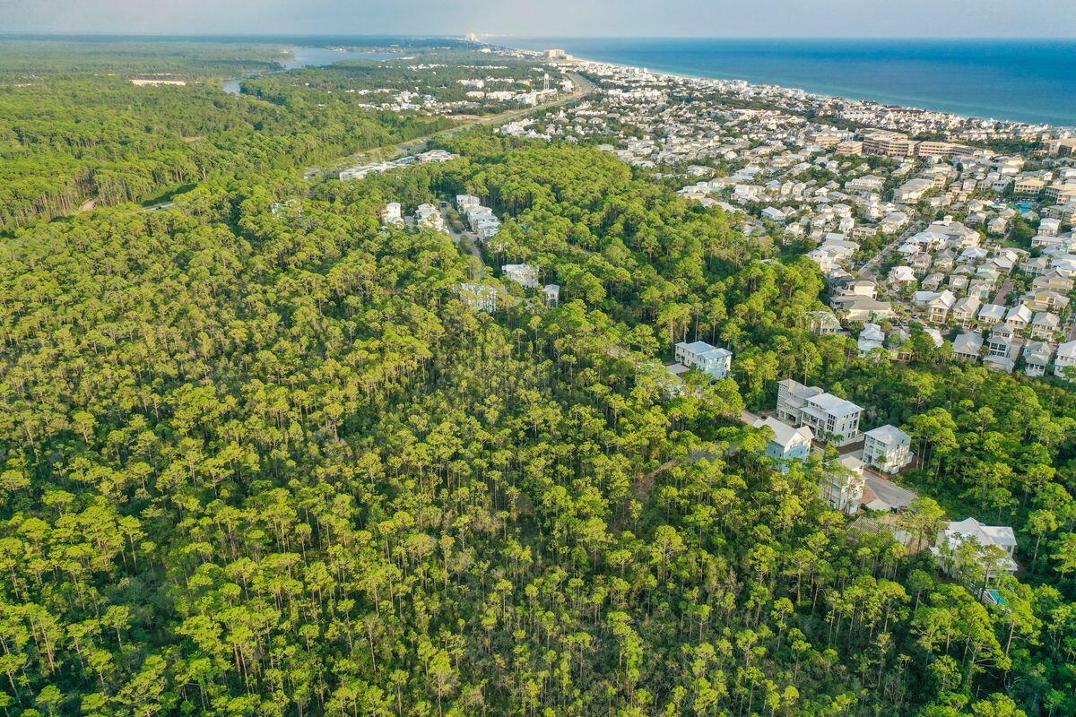 Lot 46 Sweet Gum Loop Inlet Beach Inlet Beach, FL 32461 - Photo 15 of 21 a view of a city