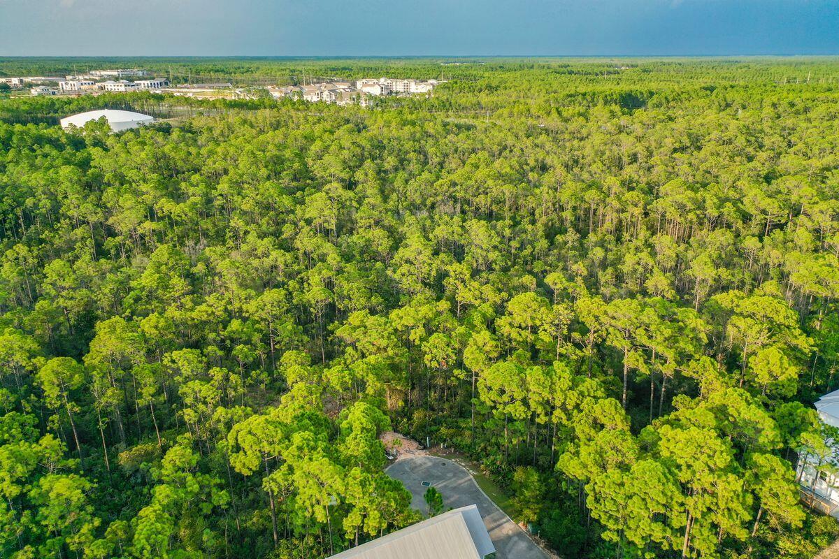 Lot 46 Sweet Gum Loop Inlet Beach Inlet Beach, FL 32461 - Photo 16 of 21 a view of a field with an outdoor space