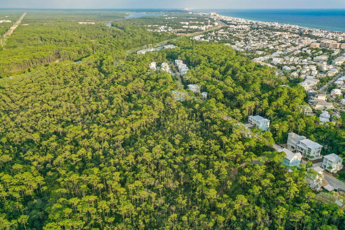 Lot 46 Sweet Gum Loop Inlet Beach Inlet Beach, FL 32461 - Photo 17 of 21 a view of a city