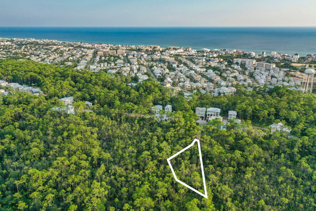 Lot 46 Sweet Gum Loop Inlet Beach Inlet Beach, FL 32461 - Photo 2 of 21 a view of a city