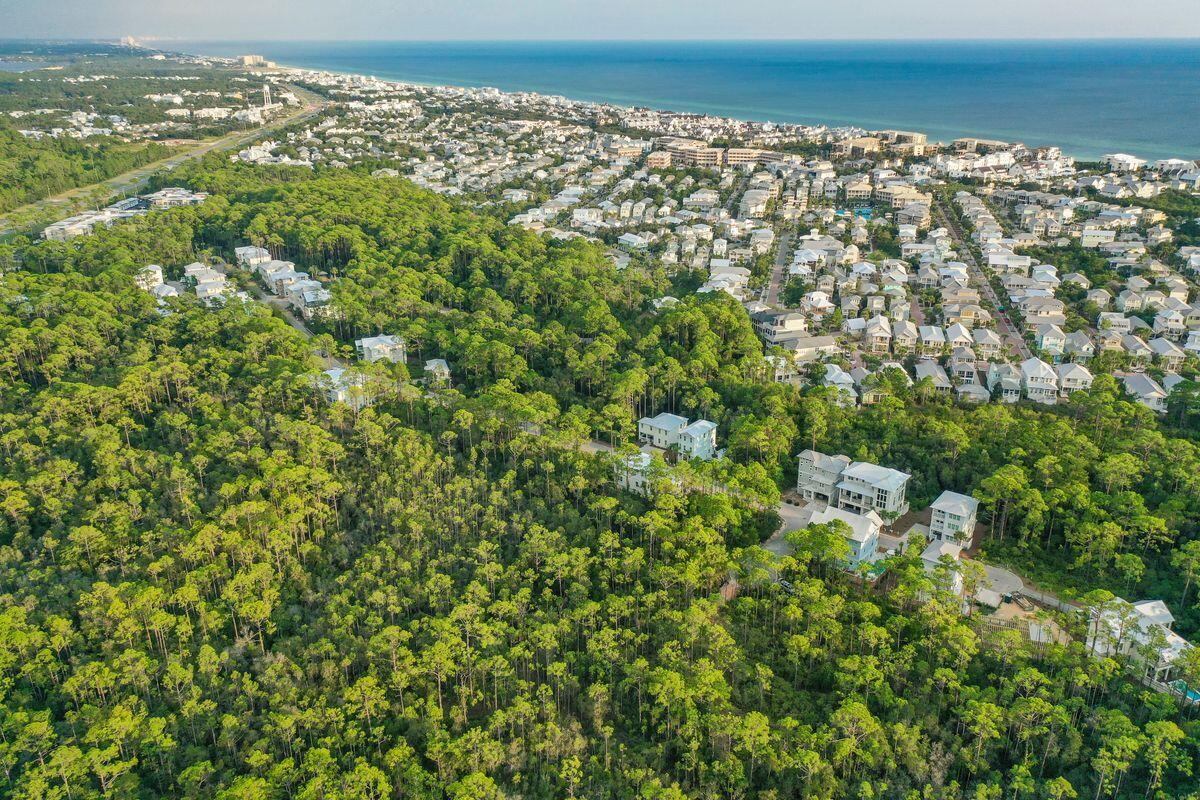 Lot 46 Sweet Gum Loop Inlet Beach Inlet Beach, FL 32461 - Photo 3 of 21 a view of a city