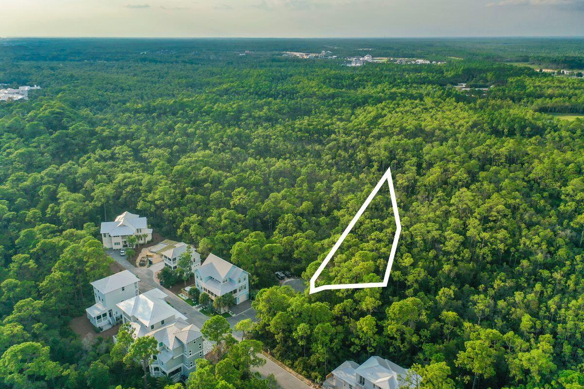 Lot 46 Sweet Gum Loop Inlet Beach Inlet Beach, FL 32461 - Photo 4 of 21