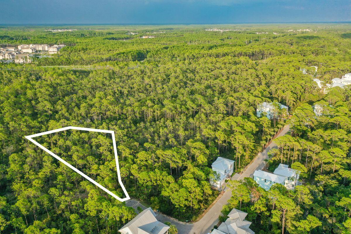 Lot 46 Sweet Gum Loop Inlet Beach Inlet Beach, FL 32461 - Photo 5 of 21 a view of a field with an ocean