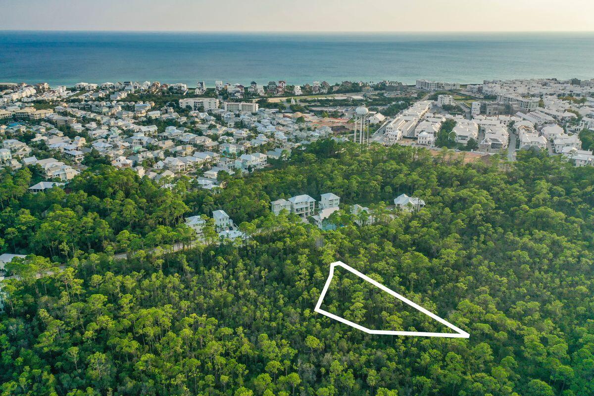 Lot 46 Sweet Gum Loop Inlet Beach Inlet Beach, FL 32461 - Photo 6 of 21 an aerial view of multiple house