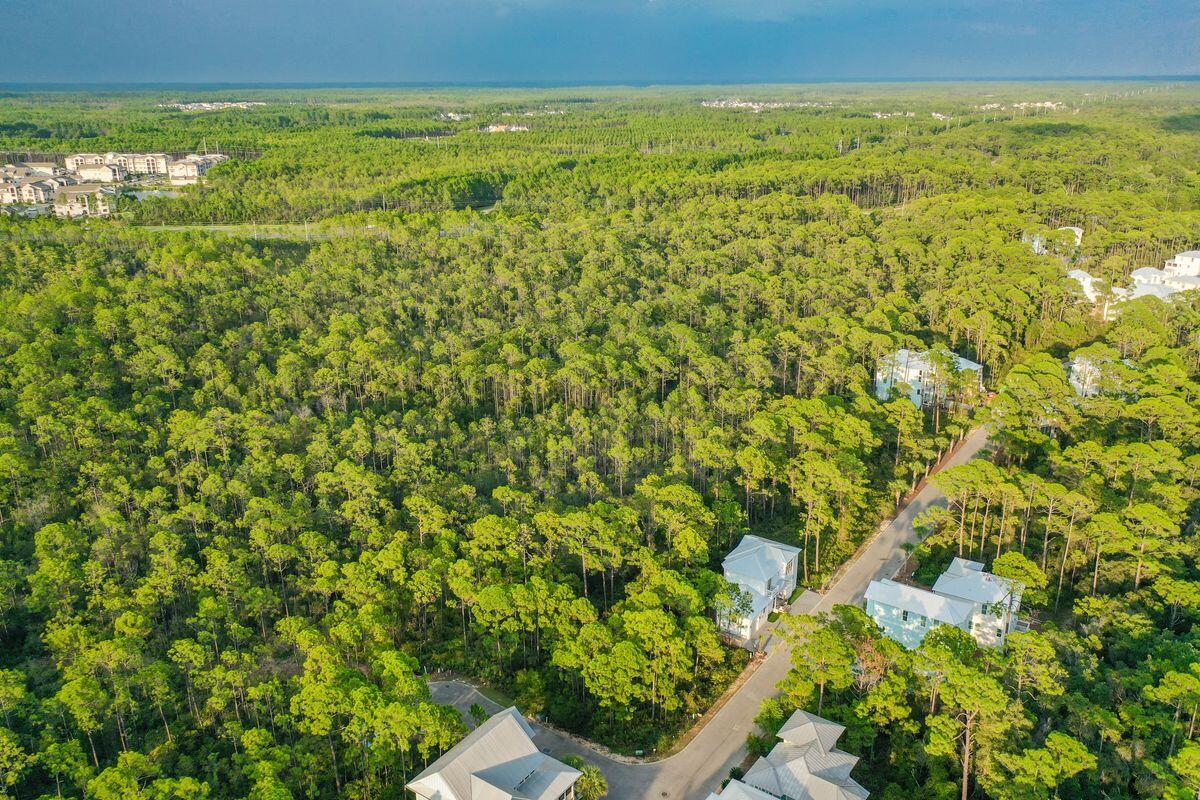 Lot 46 Sweet Gum Loop Inlet Beach Inlet Beach, FL 32461 - Photo 7 of 21 a view of beach and ocean