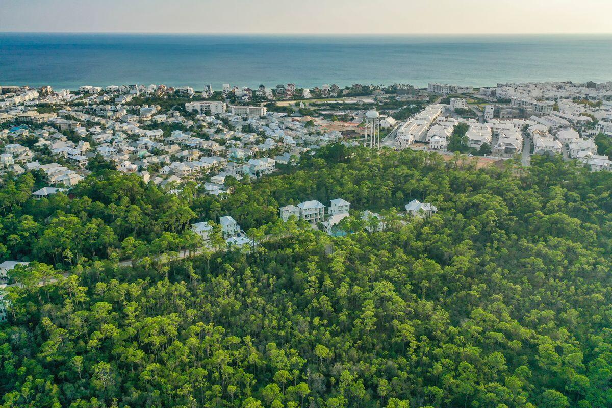 Lot 46 Sweet Gum Loop Inlet Beach Inlet Beach, FL 32461 - Photo 10 of 21 an aerial view of multiple house
