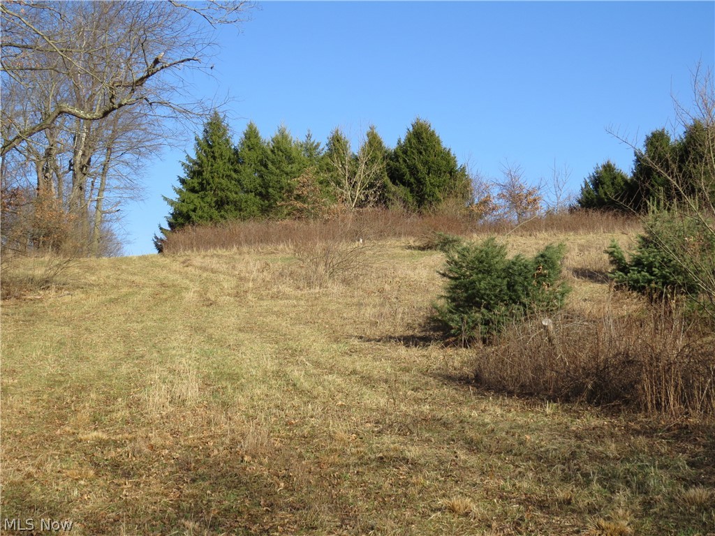 Nectar Road Salineville, OH 43945 - Photo 8 of 15 Gallery Image 8