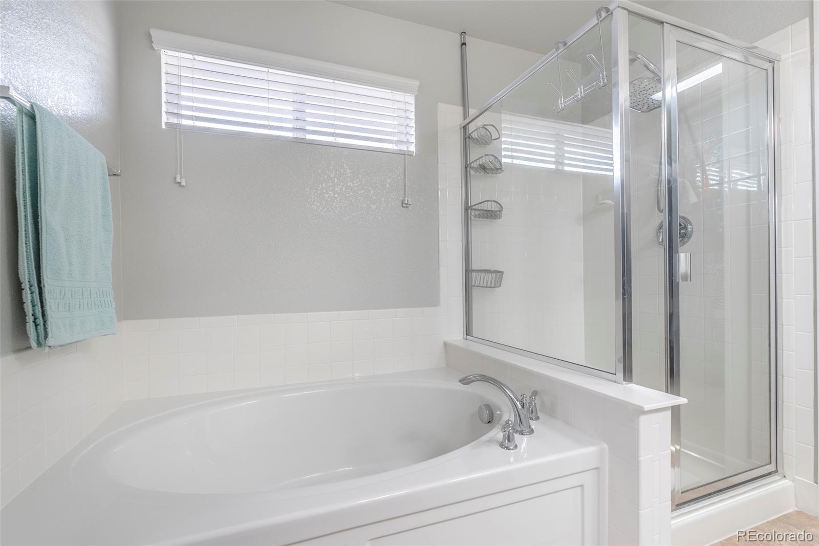 10397 Rutledge Street Parker, CO 80134 - Photo 17 of 34 Gallery Image 17