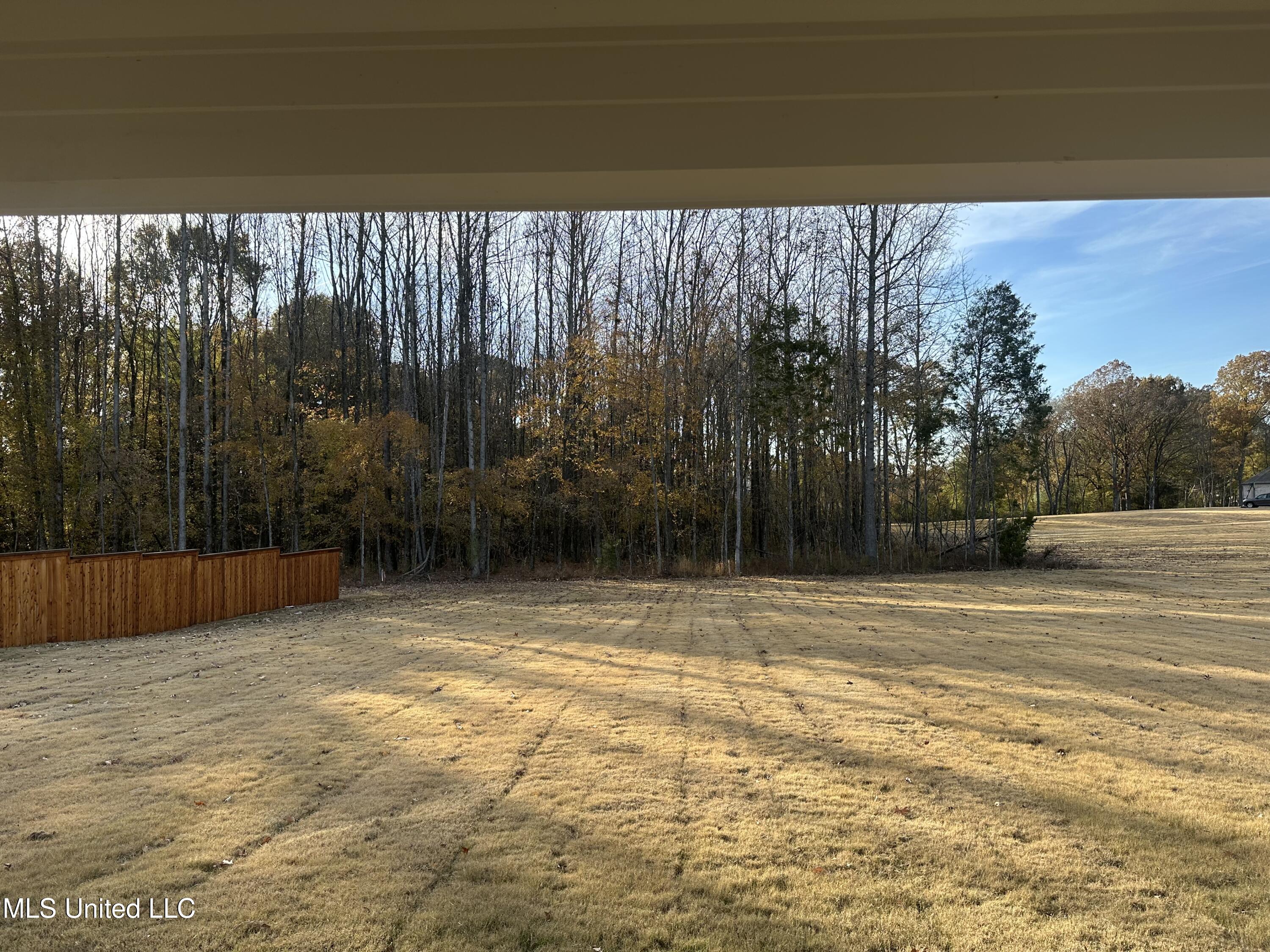 723 Lucas Lane Hernando, MS 38632 - Photo 33 of 34 IMG_2444