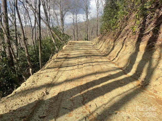 a view of a yard with plants and wooden fence