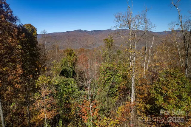 a view of a yard with a mountain in the background