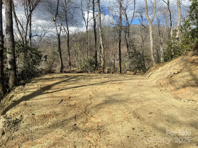 a view of a backyard of house