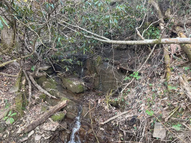 a view of a backyard of a house