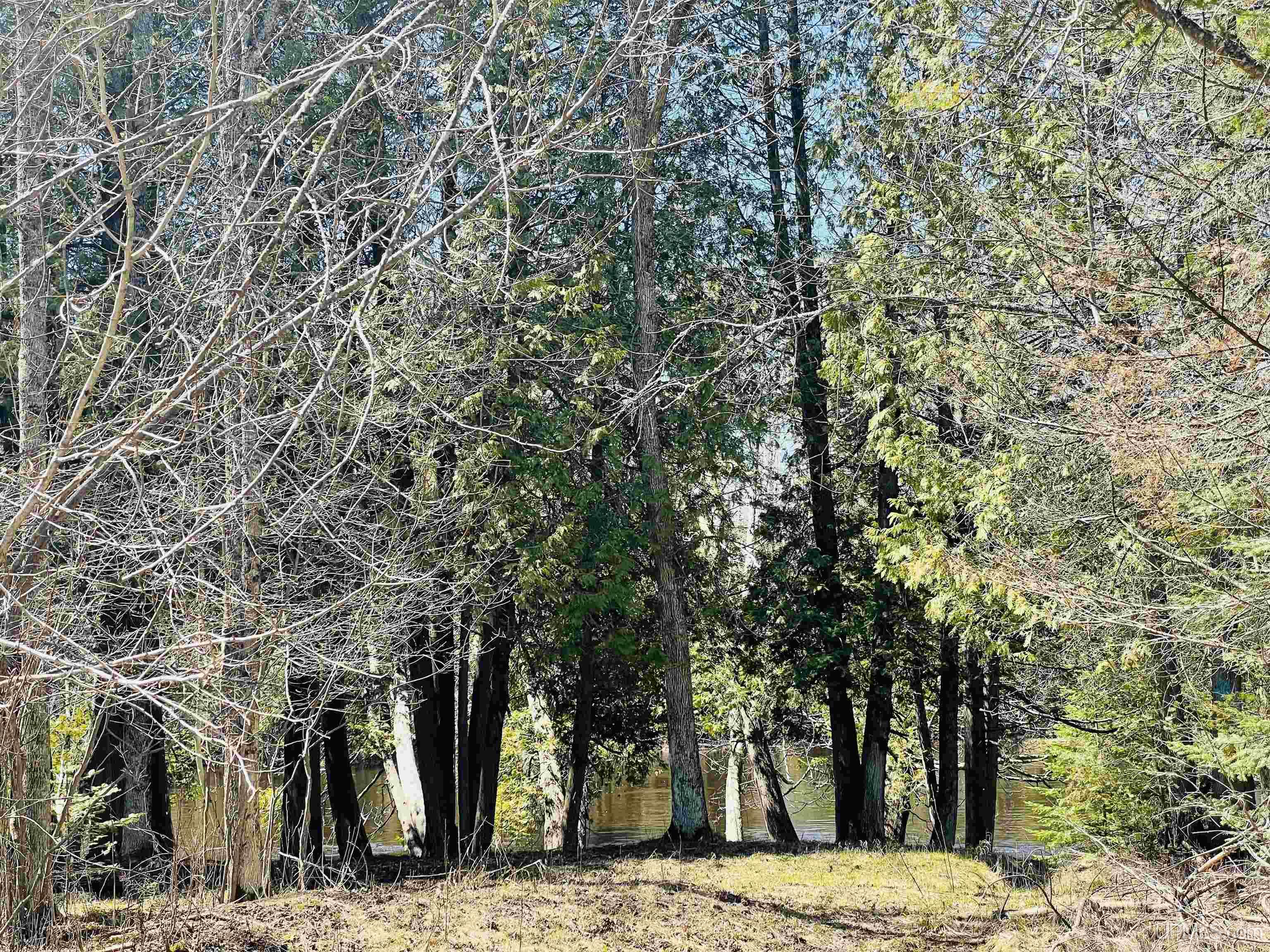 Tbd 11th Road Escanaba, MI 49829 - Photo 16 of 17