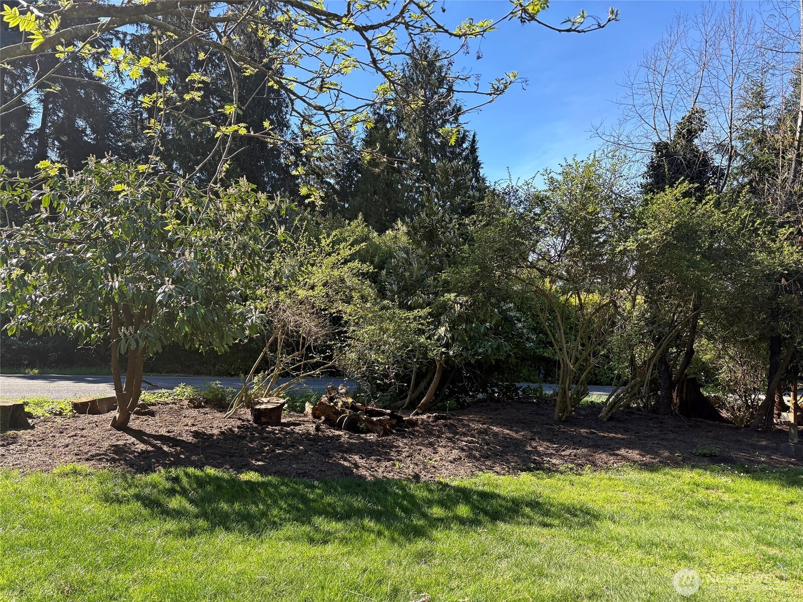 3191 East Harbor Road Langley, WA 98260 - Photo 7 of 28