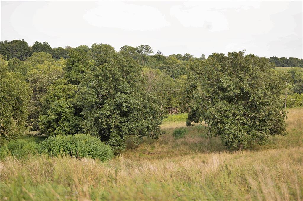 Southwest 52nd Avenue Trenton, MO 64683 - Photo 11 of 60